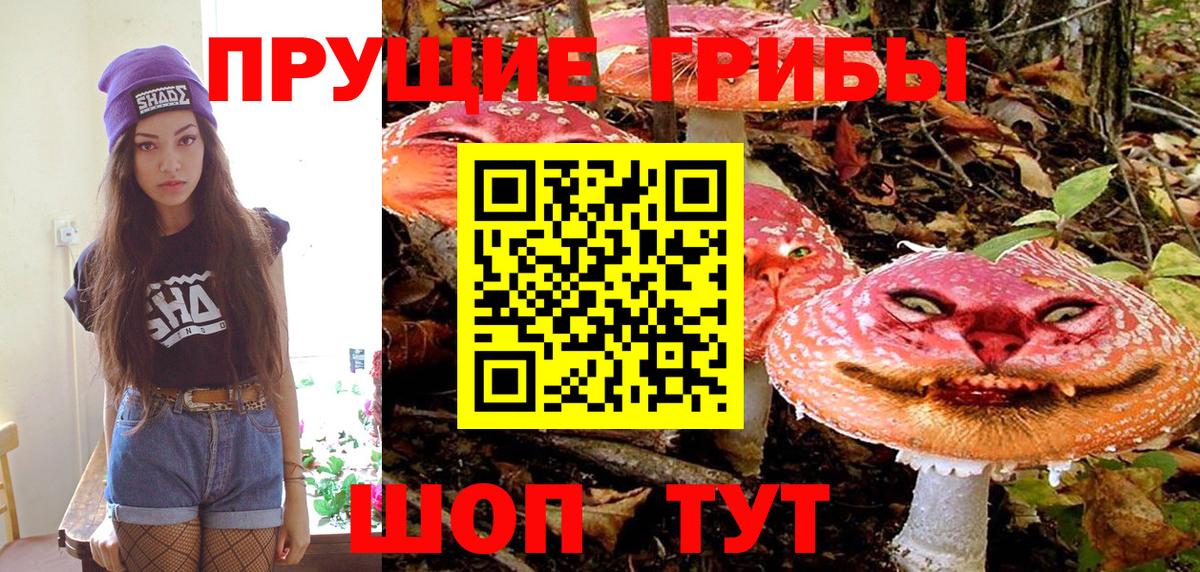Псилоцибиновые грибы MAGIC MUSHROOMS Кашира