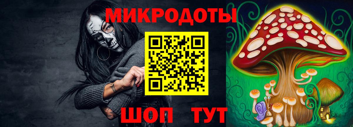 Галлюциногенные грибы MAGIC MUSHROOMS  Вход с VPN  Кашира 
